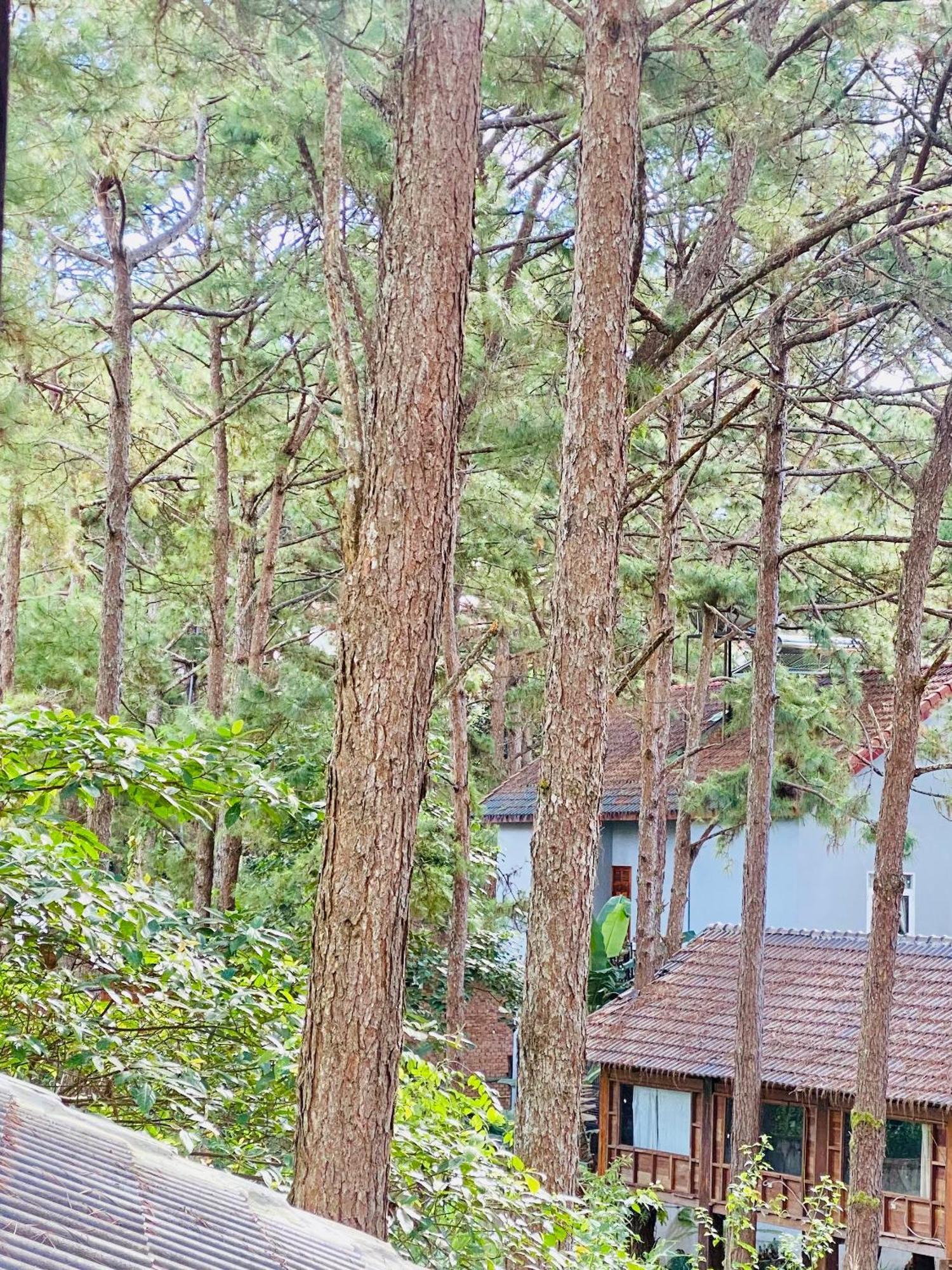 Tron Homestay Kon Von Kla Exterior photo